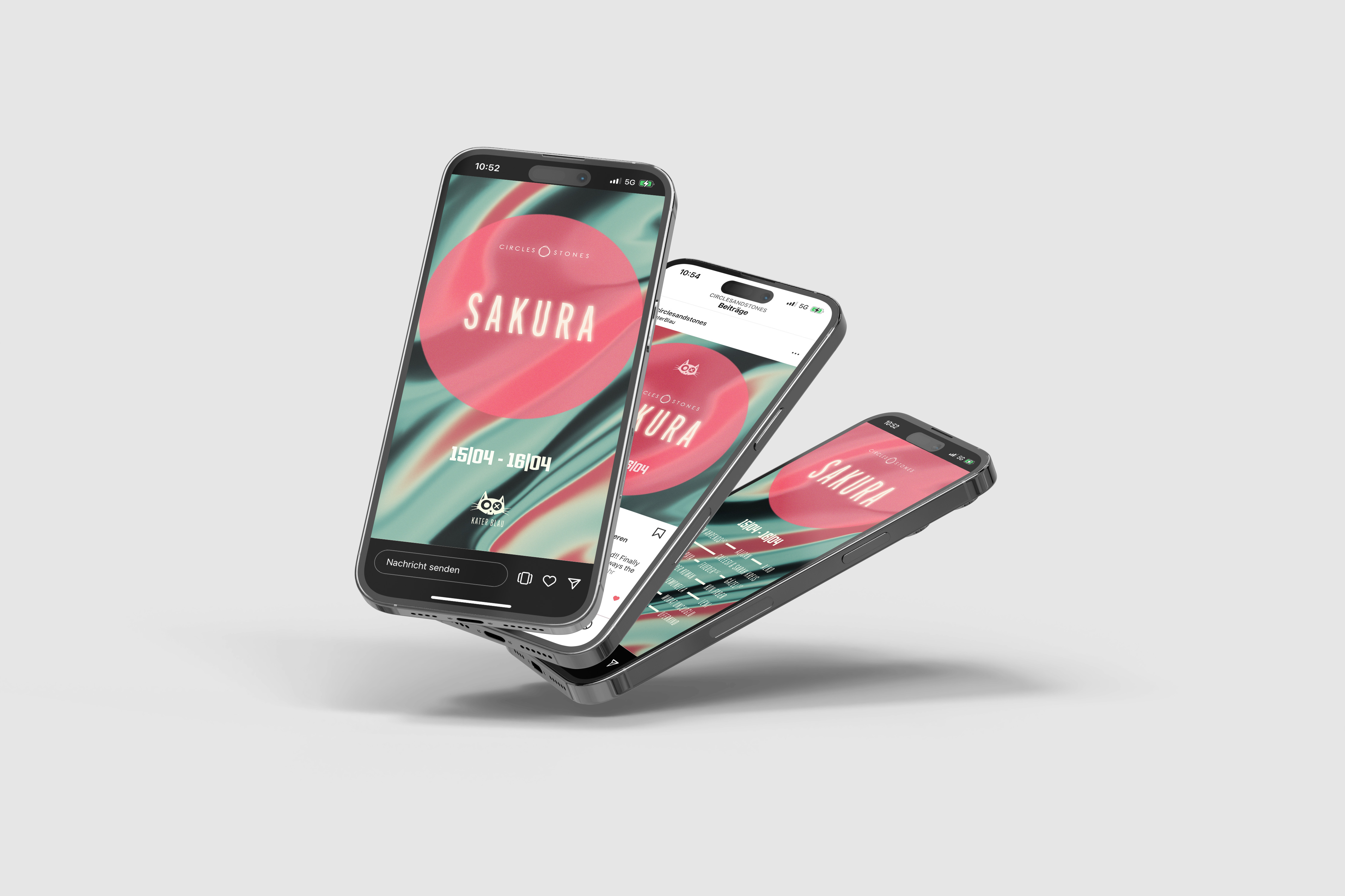 Circles & Stones Sakura Event Design Instagram Stories and Reels - Sarah Kreis Design